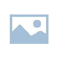 逊克县关心下一代网络学校青少年心理健康教育系列线上讲座《孩子不爱学习的原因分析》县关工委特聘心理健康教育讲师王新梅